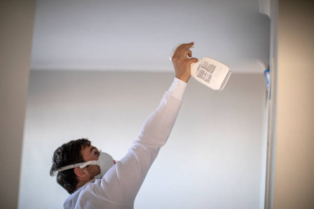 Best Mold Inspection  in Occoquan, VA