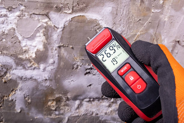 Professional Mold Removal in Occoquan, VA
