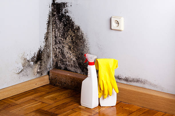 Water Damage Restoration in Occoquan, VA